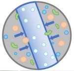Afbeelding nanofilter voor het Saqua WP-100 waterfilter